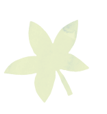 楓の葉のイラスト