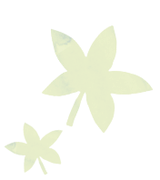 楓の葉のイラスト