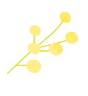 木の実のイラスト