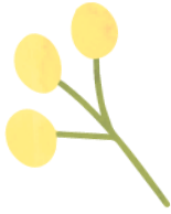 木の実のイラスト