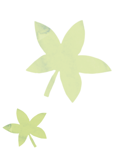 黄緑の葉のイラスト